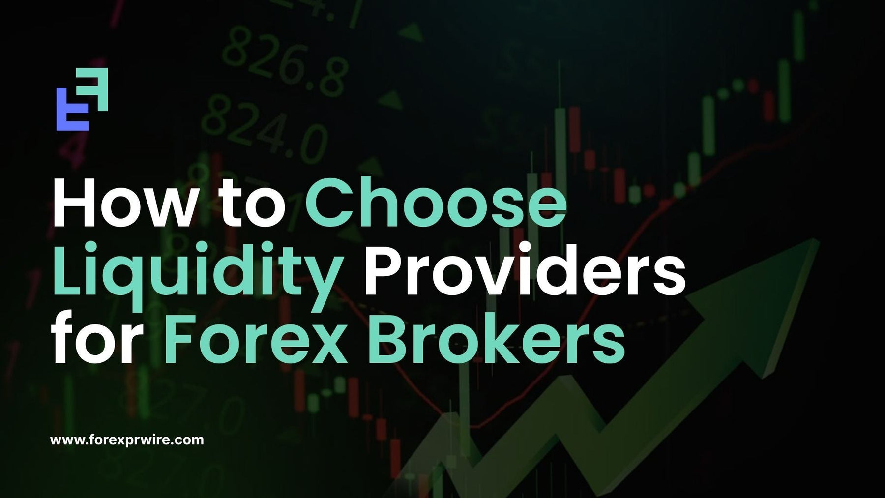 Liquidity Providers for Forex Brokers