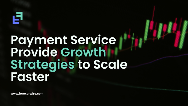 Payment Service Provider Growth Strategies