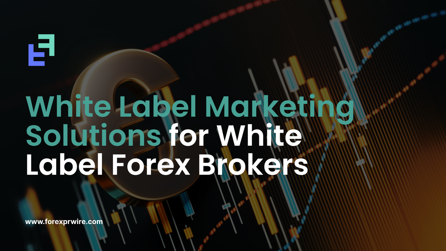 White Label Marketing Solutions for White Label Forex Brokers : The Fastest Way to Build Authority